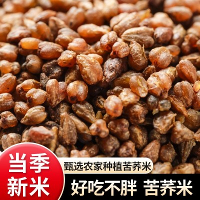 优质黑苦荞米新米5斤批发黑珍珠苦荞米批发胚芽正宗云南250g图4