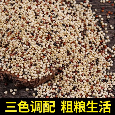 优质青海三色藜麦三色米新米5斤白藜麦批发10斤三色黎麦250g图2