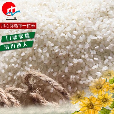 产地批发新米10kg袋装供应9108河水灌溉图2