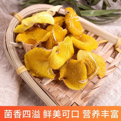 云南特产鸡油菌干货食用菌榆黄菇黄丝菌蘑菇散装产地批发煲汤食材图2