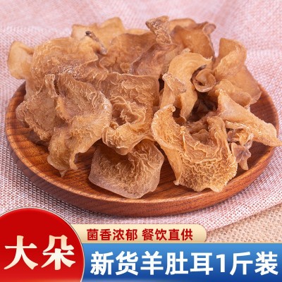 羊肚耳干货云南特产珍珠菌白木耳羊肚竹耳菌沙耳菌蘑菇野生菌批发图1