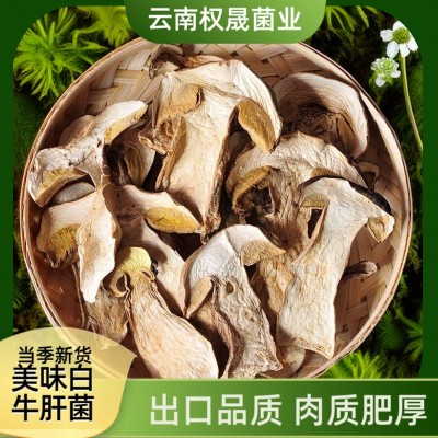 云南特产牛肝菌干货美味牛肝菌干片AA级出口品质白牛肝菌产地批发图2