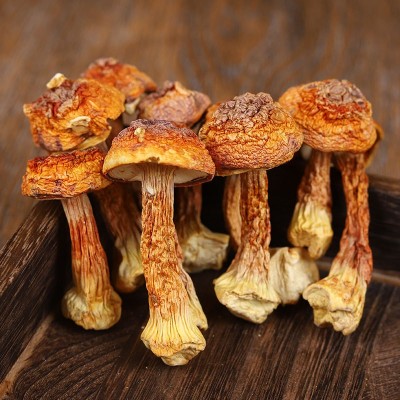 云南姬松茸干松茸新货巴西菇蘑菇煲汤赤松茸菌食用菌干货现货批发图4