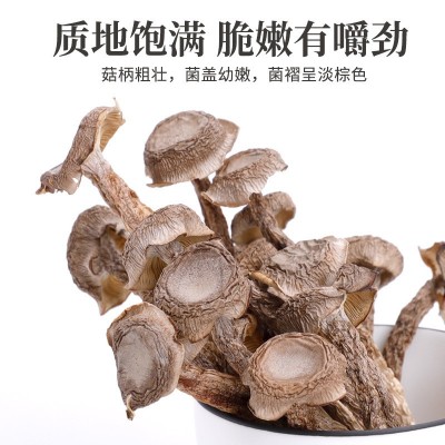 鹿茸菇菌菇干货礼盒大礼包羊肝菌鹿茸菇菌汤包现货直供煲汤食材图3