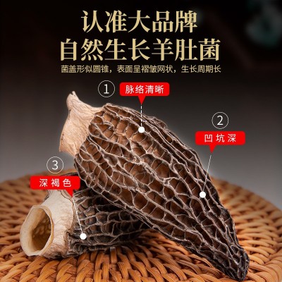 定制干羊肚菌菌菇干货批发干蘑菇食用菌菇煲汤食材材料基地直发图2