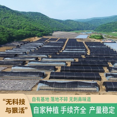 嘿猫耳长白山黑木耳干货东北独立袋装绿袋三级250g源头厂家支持代图2