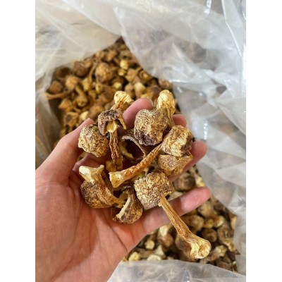 姬松茸干货云南特产巴西菇散装松茸菌食用姬松茸500g无熏硫净重
