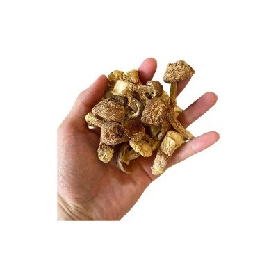 姬松茸干货云南特产巴西菇散装松茸菌食用姬松茸500g无熏硫净重图4