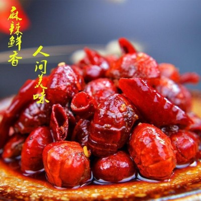 盱眙万丽湖蒜泥龙虾调料金汤蒜香粉黄焖料蒜蓉蒜香调料商用包邮图4