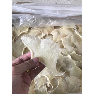 北海特产鳐鱼翅 浦鱼翅鲽鱼翅 煲汤特产渔家晒制海产干货500g/包图5