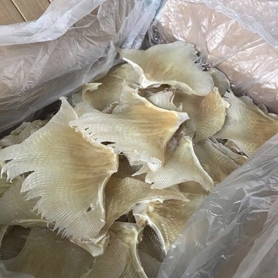北海特产鳐鱼翅 浦鱼翅鲽鱼翅 煲汤特产渔家晒制海产干货500g/包图4