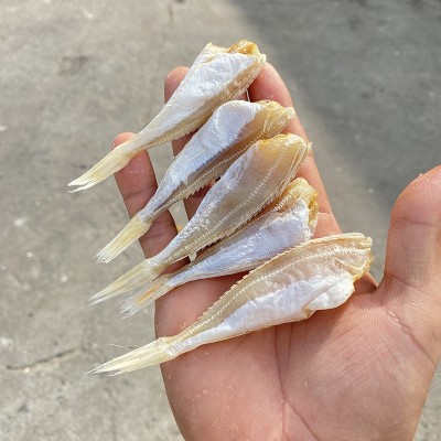 北海特产酒店食材低盐9成干咸鱼干水产干货500g红娘鱼干海鲜干货图4