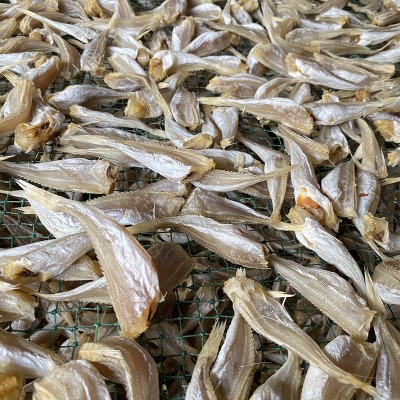 北海特产酒店食材低盐9成干咸鱼干水产干货500g红娘鱼干海鲜干货图2