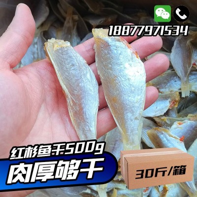 源头工厂】北海特产公马鲛鱼咸鱼干渔鲅鱼干海味海鲜水产干货批发
