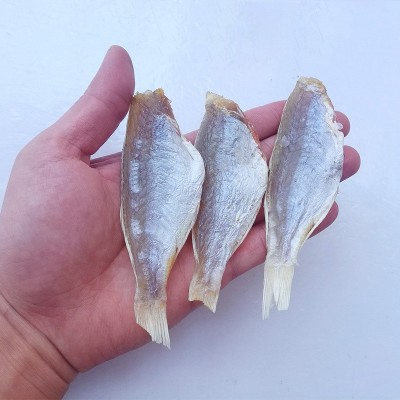 源头工厂】北海特产公马鲛鱼咸鱼干渔鲅鱼干海味海鲜水产干货批发图3