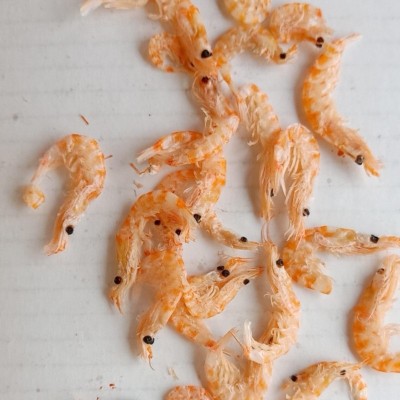 虾米 南极磷虾即食小红虾养殖虾米 大淡晒金钩海米虾虾干图3