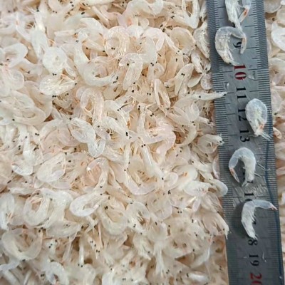 山东海鲜烘干淡干虾皮干货散装加工厂家淡干虾皮制品海鲜干货图3