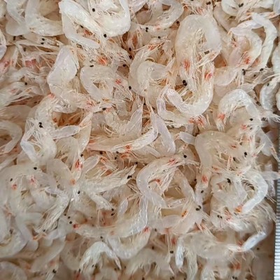 山东海鲜烘干淡干虾皮干货散装加工厂家淡干虾皮制品海鲜干货图2