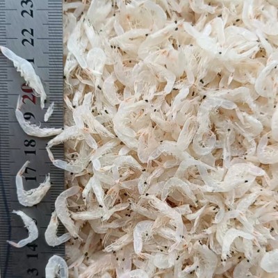 山东海鲜烘干淡干虾皮干货散装加工厂家淡干虾皮制品海鲜干货图4