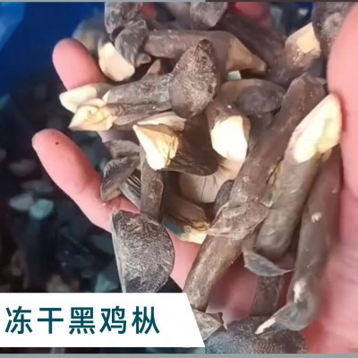 【工厂 直发】冻干黑皮鸡枞菌干货500g 云南特产鸡棕蘑菇食用菌散图1