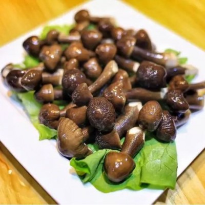 【工厂 直发】冻干黑皮鸡枞菌干货500g 云南特产鸡棕蘑菇食用菌散图5