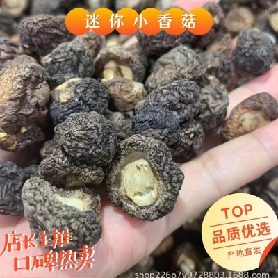 【产地直批】福建古田小香菇金钱菇小鸡炖蘑菇香菇干货500g散装图1