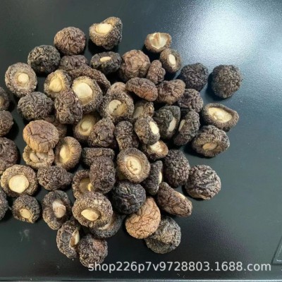 【产地直批】福建古田小香菇金钱菇小鸡炖蘑菇香菇干货500g散装图2