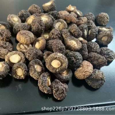 【产地直批】福建古田小香菇金钱菇小鸡炖蘑菇香菇干货500g散装图3