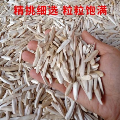 代发批发新疆马牙瓜子500克牙签瓜子坚果炒货网红零食个大饱满图4