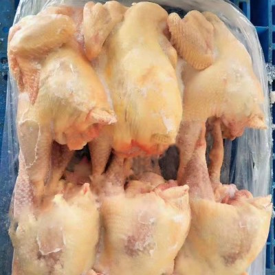 冻货鸡肉冷冻品批发整只鸡三黄鸡青脚鸡西装鸡老母鸡清远鸡乌鸡图5