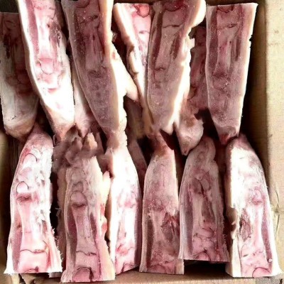 冻货猪肉冷冻品批发猪蹄前蹄后蹄猪手短切后切手铮长脚去骨蹄20斤