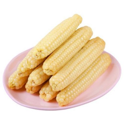 云南西双版纳特产老品种拇指小玉米，花糯小玉米，拇指紫糯小玉米图2