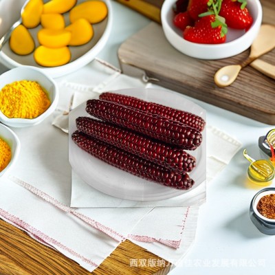 云南西双版纳紫色拇指小玉米 软糯香甜厂家批发图2