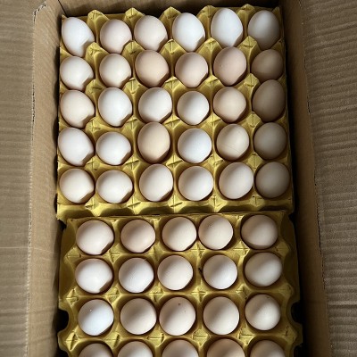 农家散养土鸡蛋 粮食喂养土鸡鲜鸡蛋白壳红壳 当日现捡整箱批发图2
