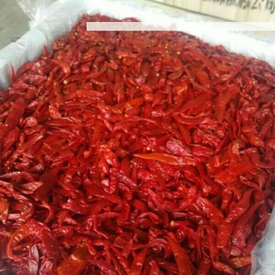 常年销售辣椒系列产品，腌制辣椒，辣椒酱，泡椒图3