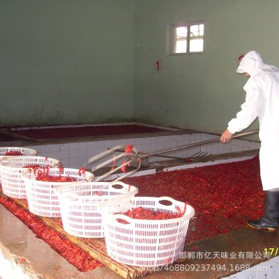 厂家批发 包装盐渍辣椒 腌制辣椒 腌渍辣椒 泡红椒 腌辣椒图3