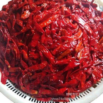 厂家批发 包装盐渍辣椒 腌制辣椒 腌渍辣椒 泡红椒 腌辣椒图4