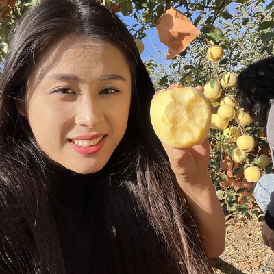 产地直发烟台红富士脆甜苹果 条红全红脆甜红富士支持代发图3
