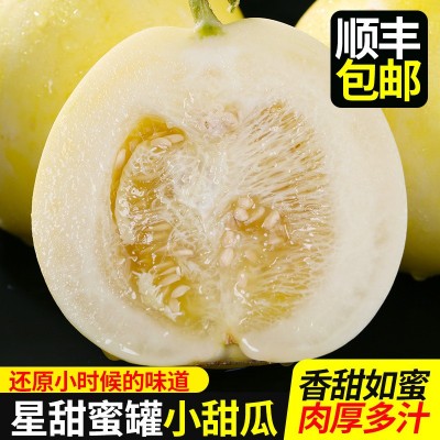 蜜罐甜瓜头茬现摘星甜20小蜜蜂4.5斤新鲜水果香瓜春季3斤甜蜜批发图1