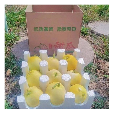 蜜罐甜瓜头茬现摘星甜20小蜜蜂4.5斤新鲜水果香瓜春季3斤甜蜜批发图4