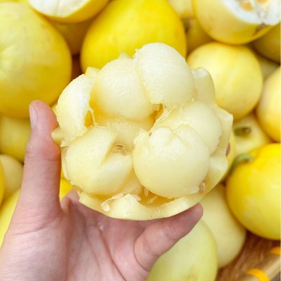 蜜罐甜瓜头茬现摘星甜20小蜜蜂4.5斤新鲜水果香瓜春季3斤甜蜜批发图3