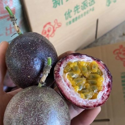 广西紫色紫皮百香果全年供应新鲜水果酸酸甜甜百香果代发批发包邮图2