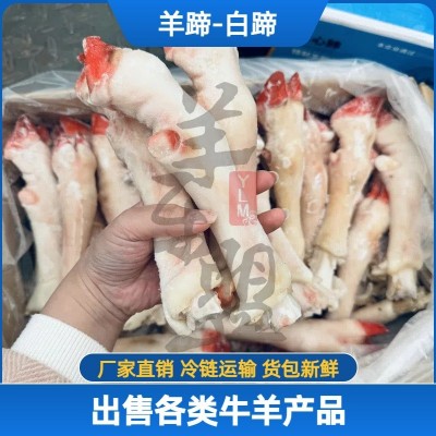 羊蹄羊净蹄白蹄育肥蹄商用批发大中小号整箱20斤麻辣羊蹄专用包邮