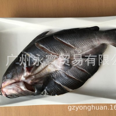 烤鱼原料 腌制清江鱼 100%净重 叉尾鮰鱼 850*1100G*10条图2