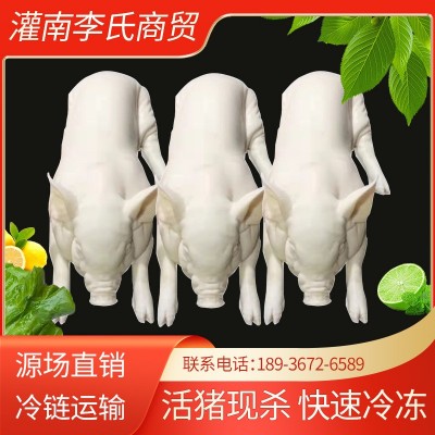 鲜冻烤乳猪半成品新鲜生鲜白条整只广式脆皮烤乳猪小耳朵巴马香图1