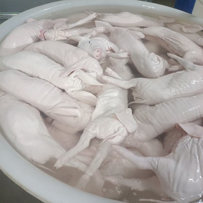现杀鲜冻烤乳猪冰鲜冷冻乳猪4到30斤脆皮小香猪冻乳猪批发图5