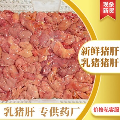 新鲜猪肝乳猪猪肝生猪肉农家散养药厂专供图3