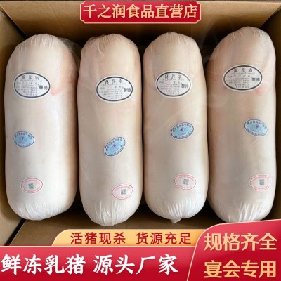 新鲜冷冻乳猪整只鲜冻乳猪酒店商用烤乳猪批发厂家直销冷冻现杀图4