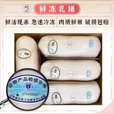 新鲜冷冻乳猪整只鲜冻乳猪酒店商用烤乳猪批发厂家直销冷冻现杀图2