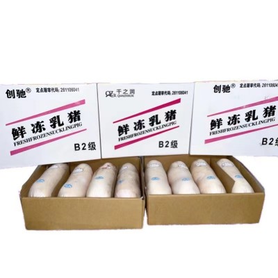 新鲜冷冻乳猪整只鲜冻乳猪酒店商用烤乳猪批发厂家直销冷冻现杀图3